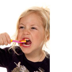 © Gina Sanders - Fotolia.com